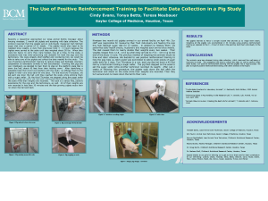 The Use of Positive Reinforcement Training to Facilitate Data Collection in a Pig Study