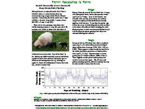 Stress Inoculation in Sheep